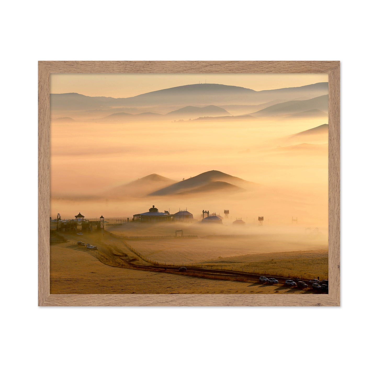 Grassland Fog
