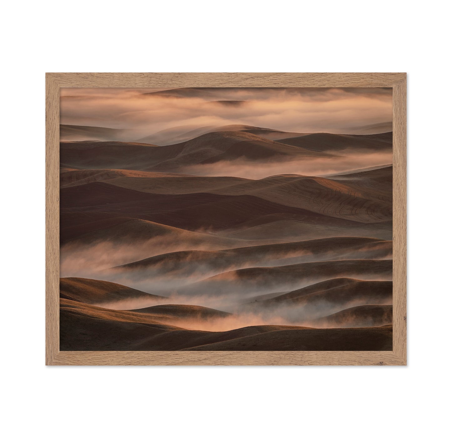 Early Spring Morning at Palouse