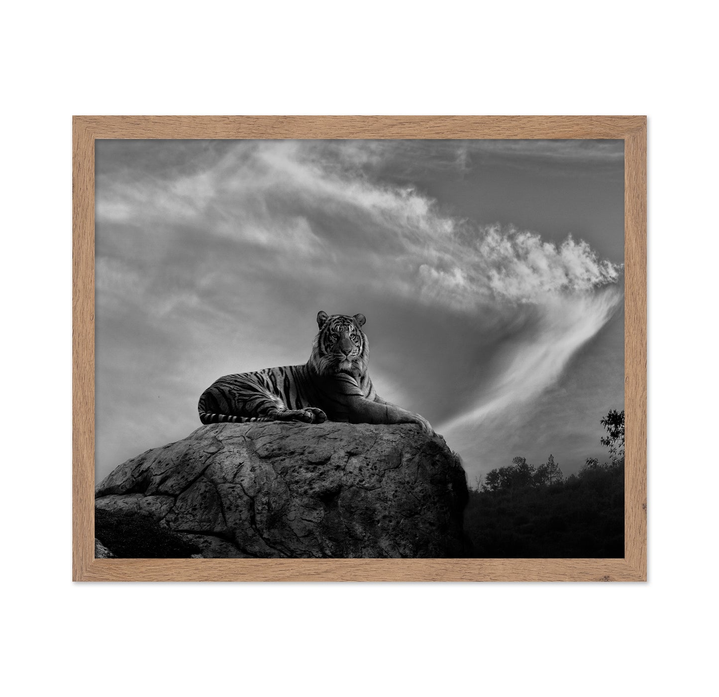On the Watch