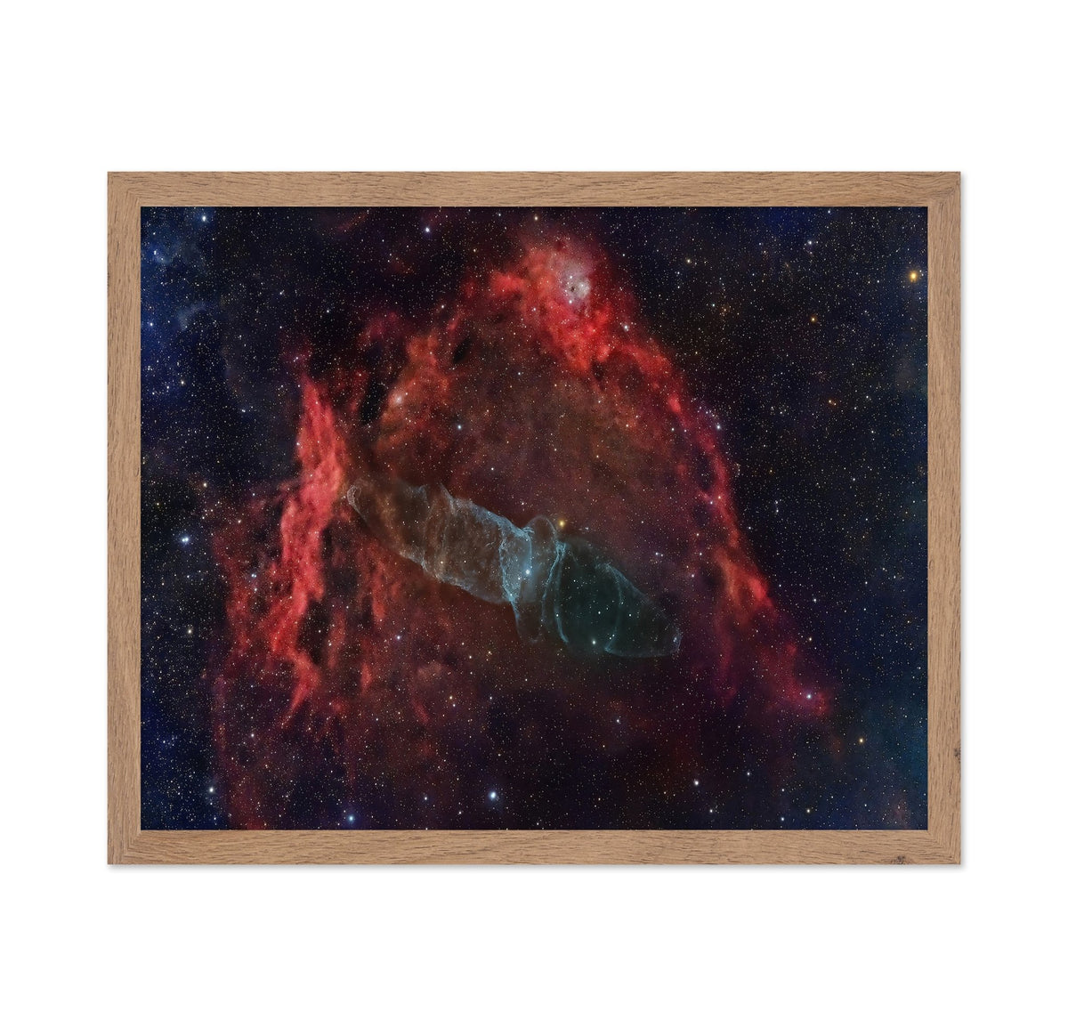 Squid Nebula