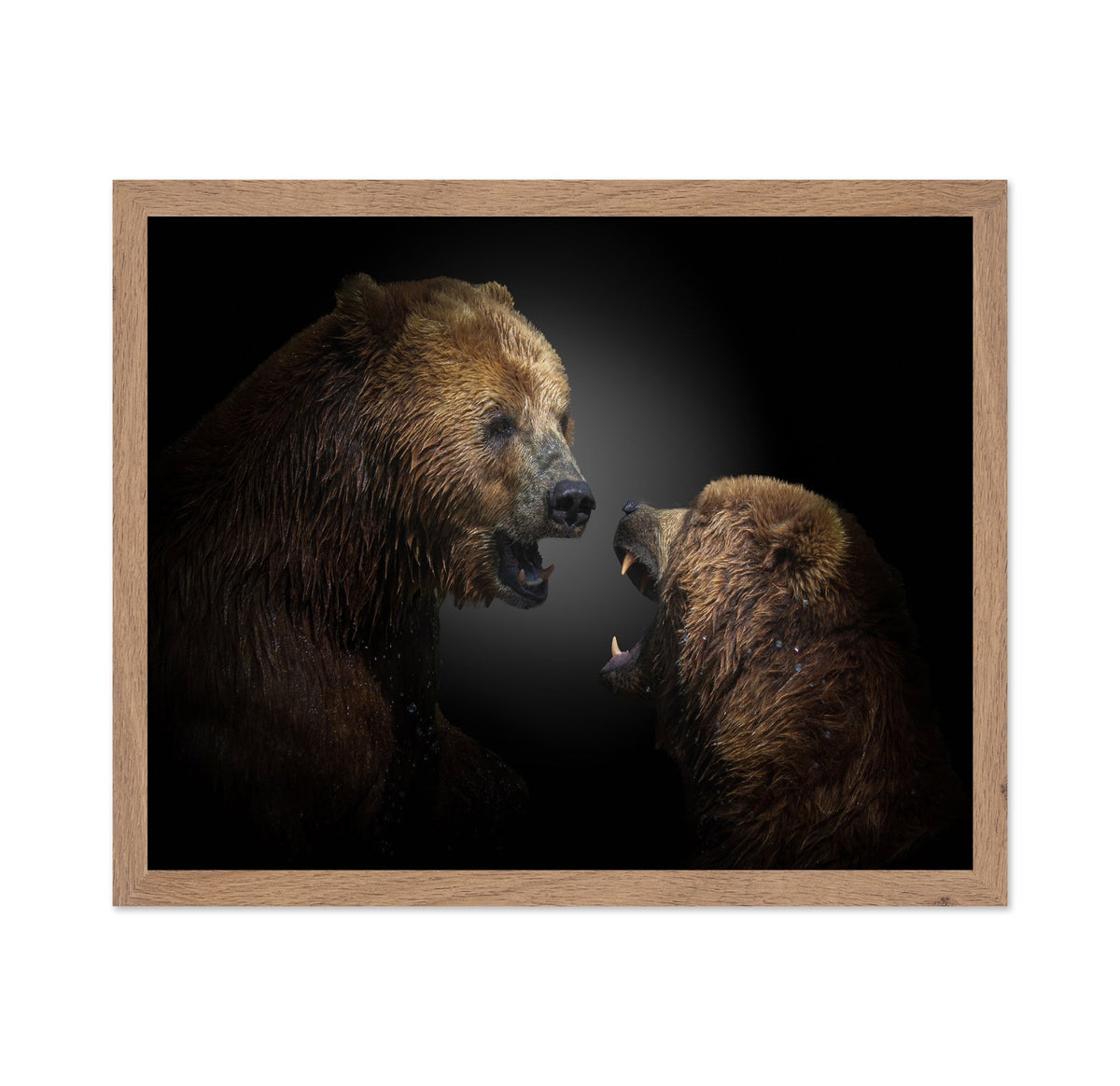 The Fight