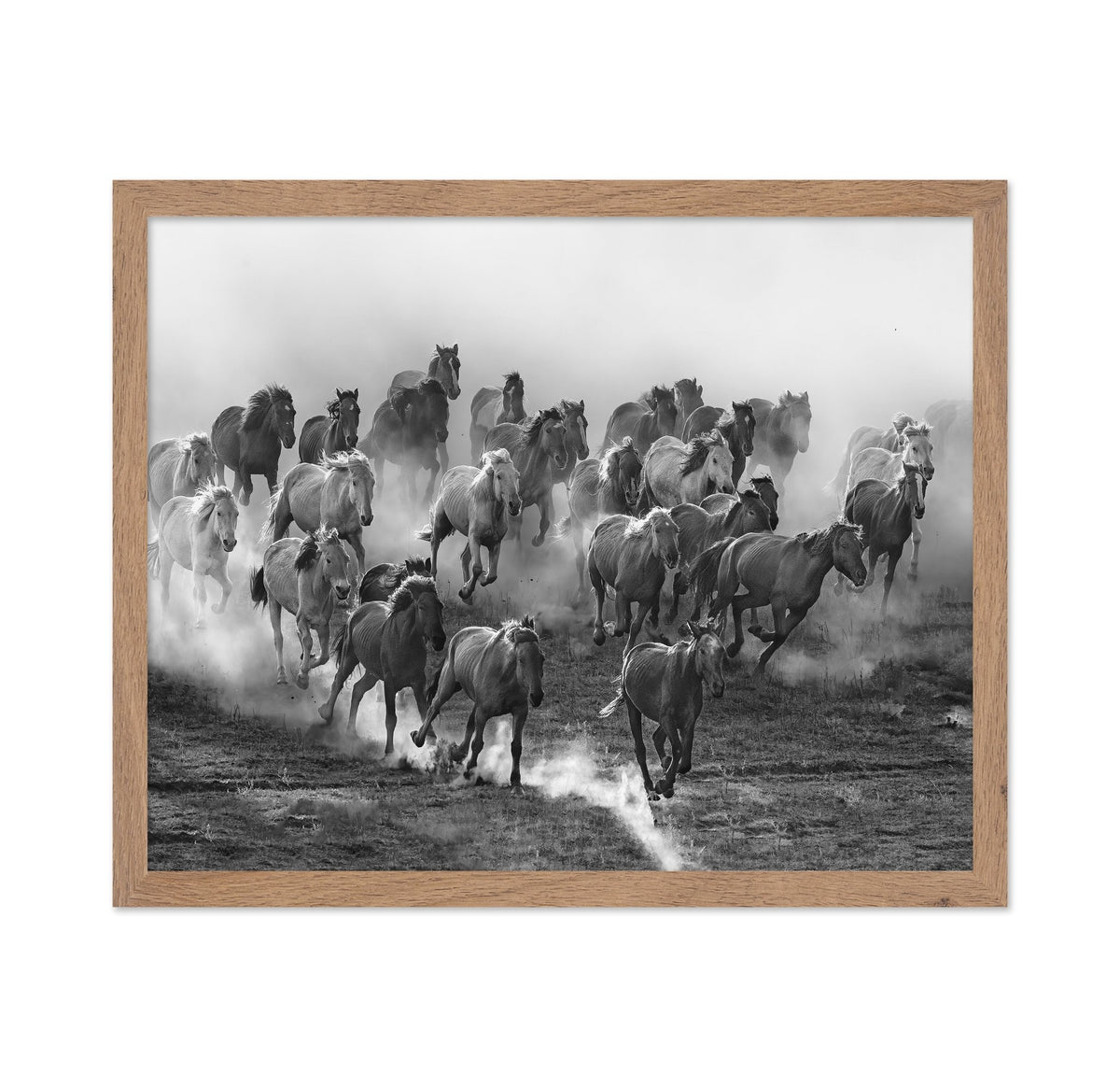 Galloping