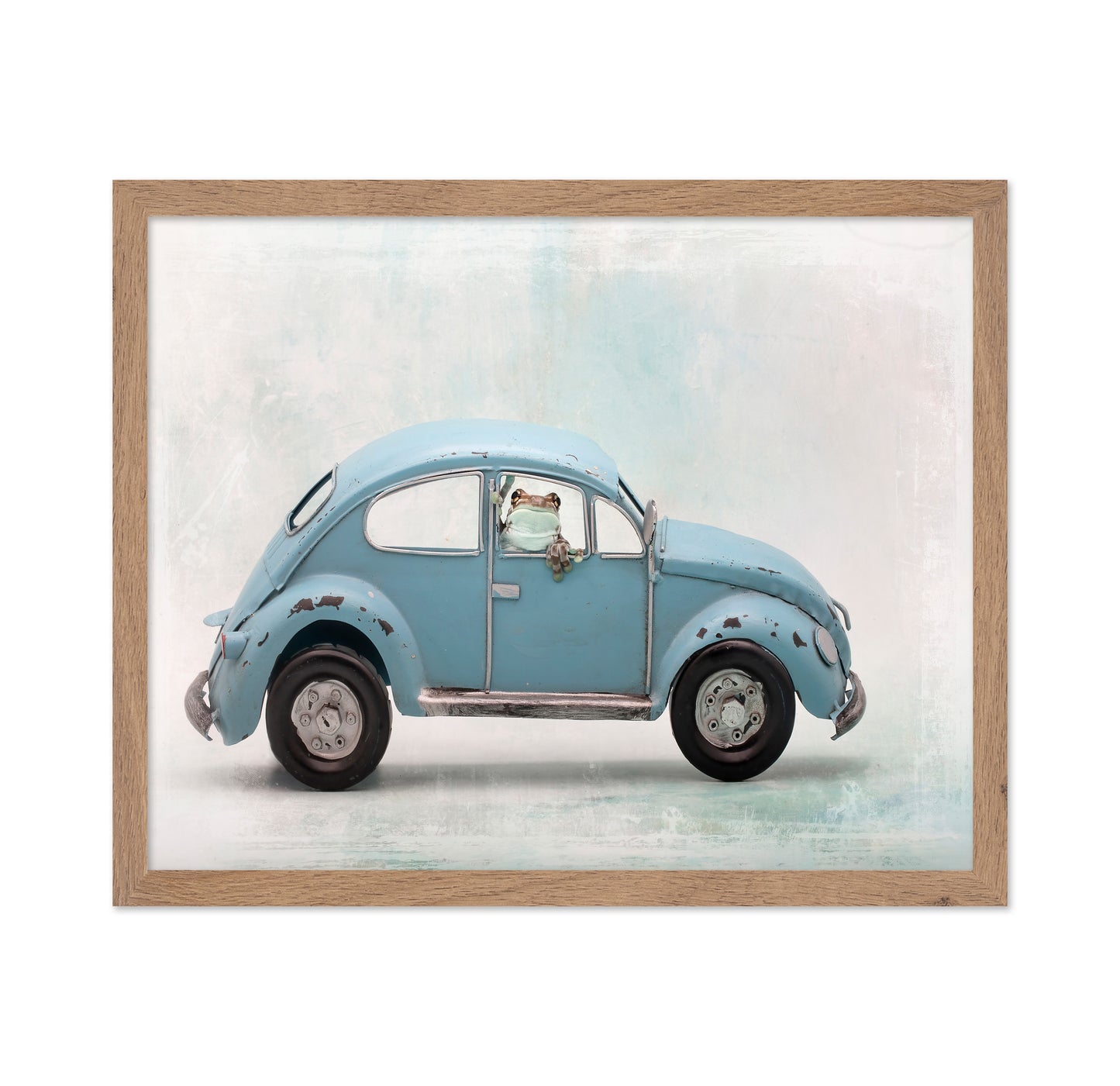 Amazon Milk Frog in VW Bug