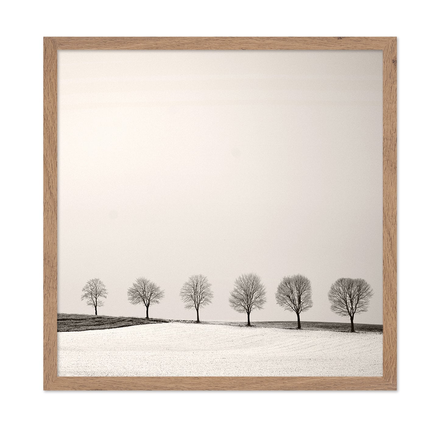 Tree Line