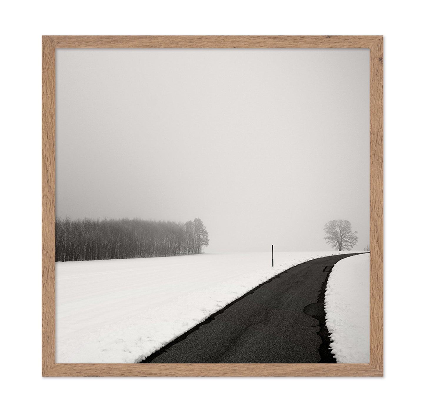 Curve In Snow