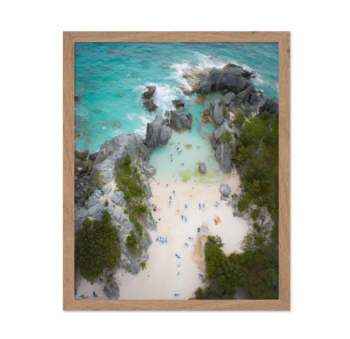 Jobson's Cove from Above