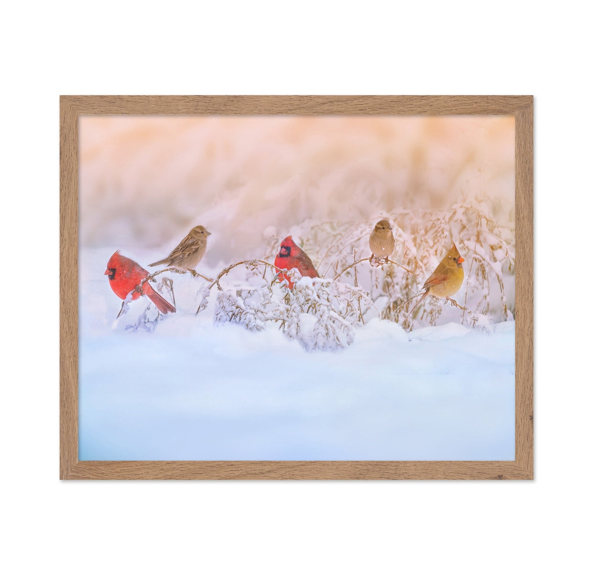 Snowy Morning Party