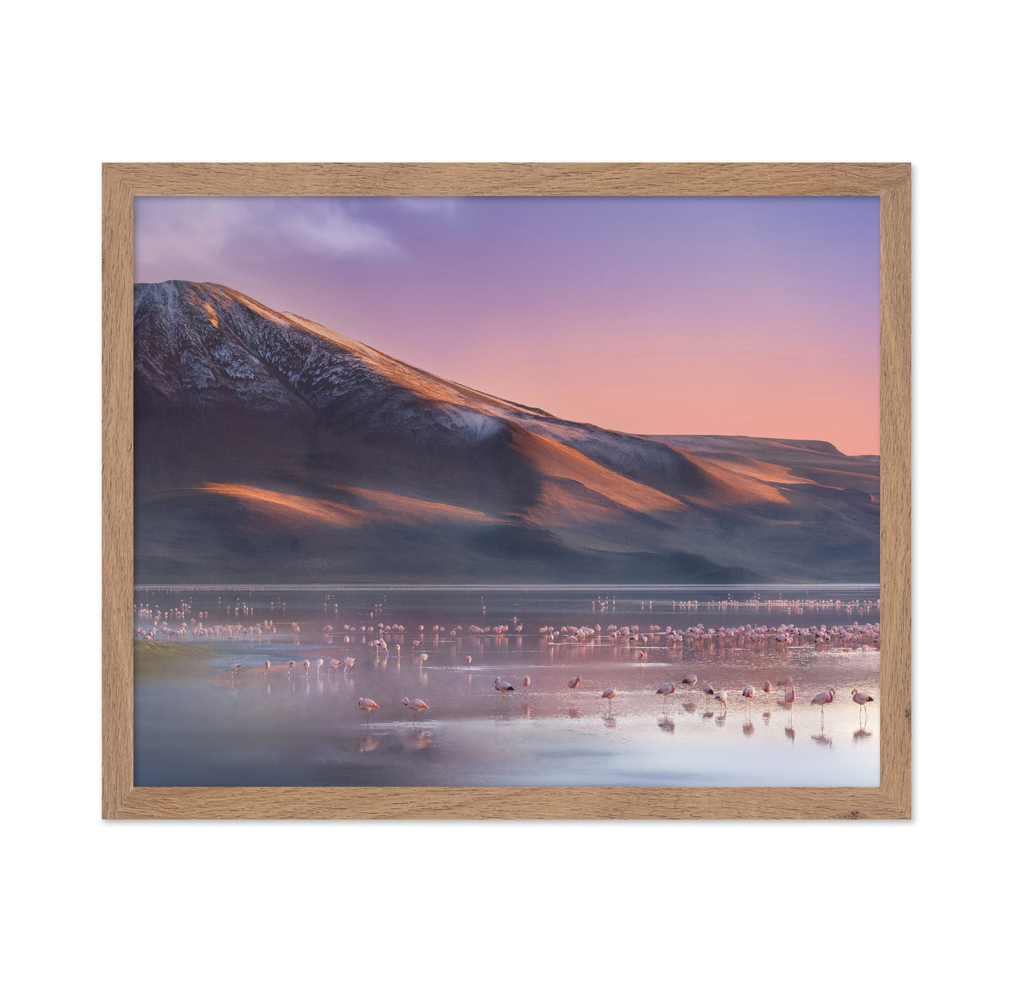 Laguna Colorada Morning