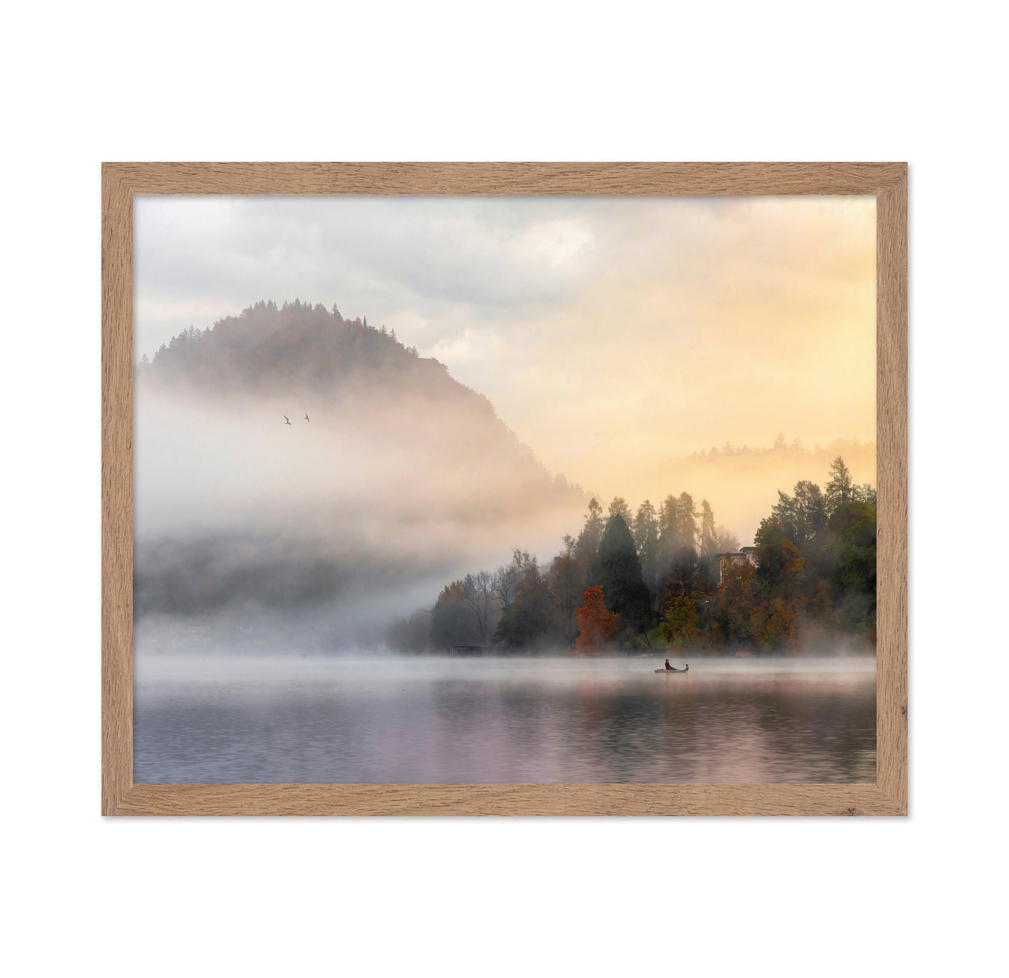 Dreamy Morning