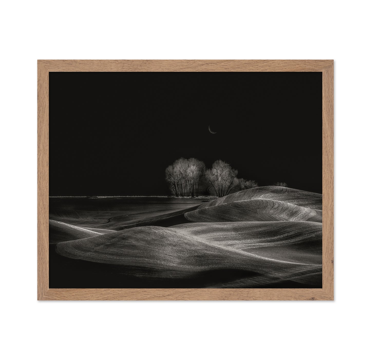Silent Fields