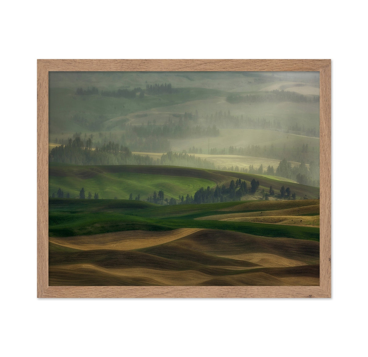 Misty Rolling Hills