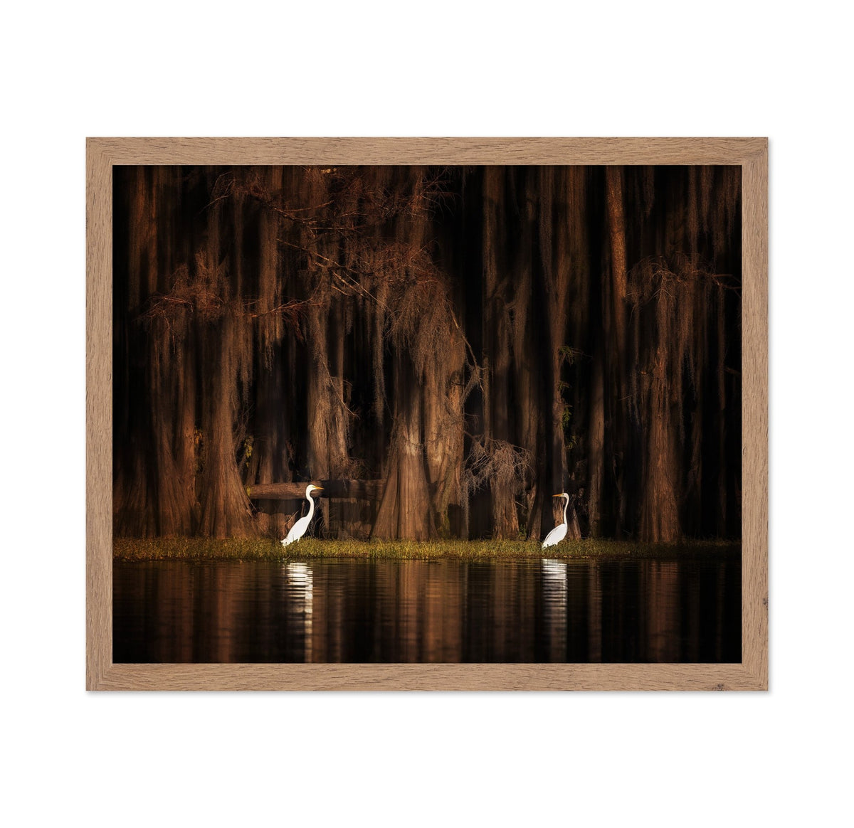 Creatures of Caddo Lake