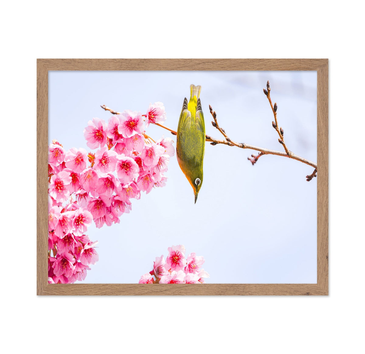 Early Spring