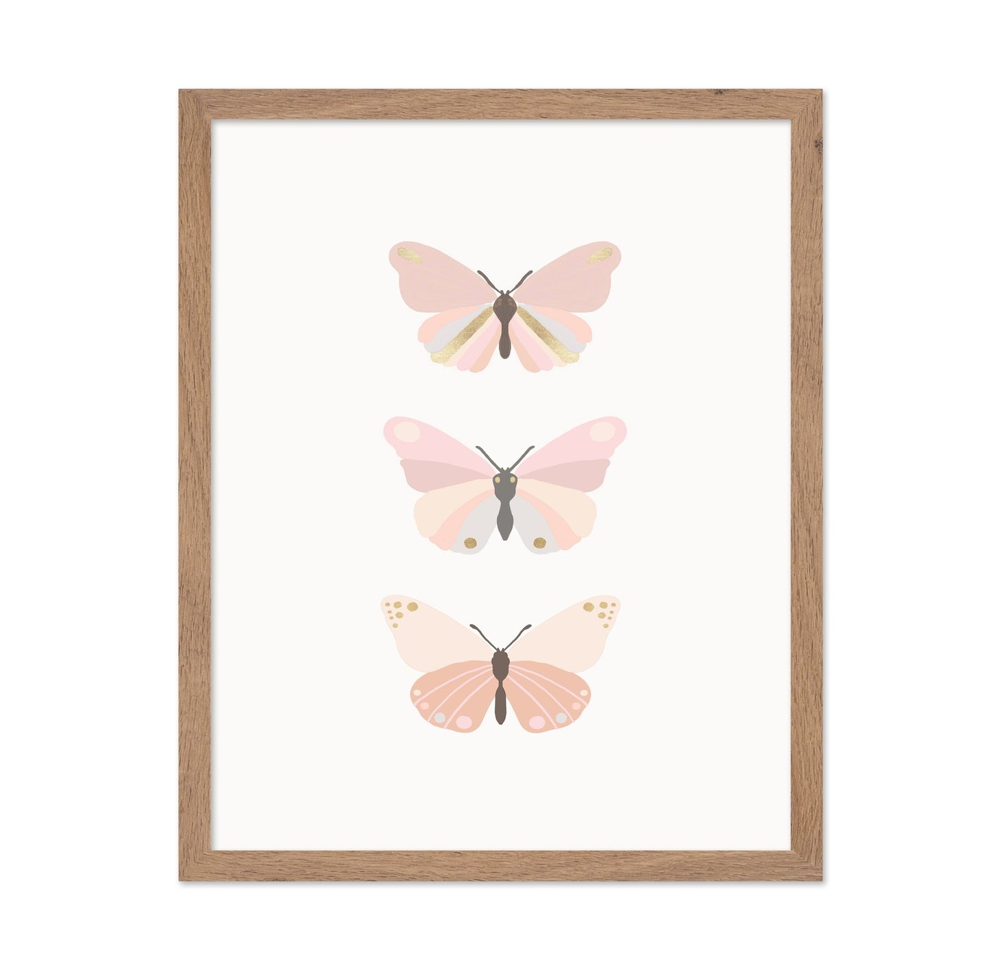 Butterflies Illustration