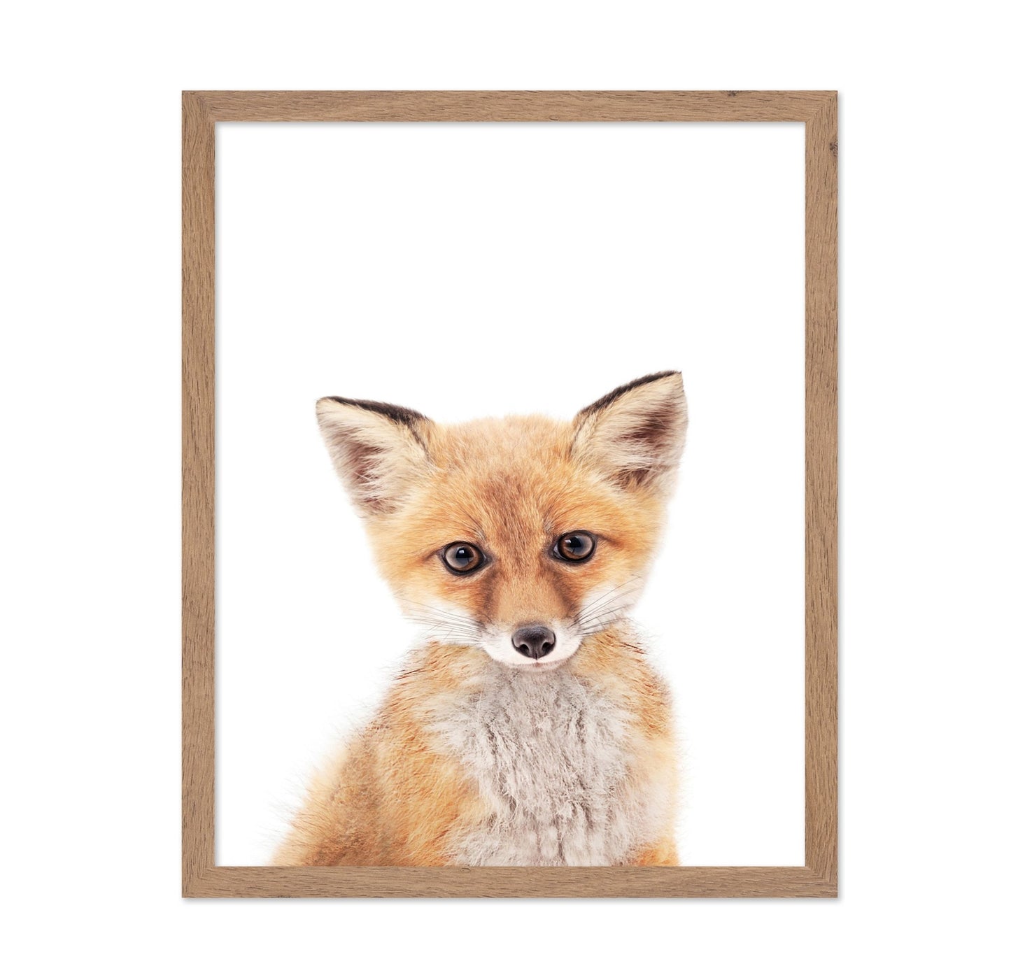 Baby Fox