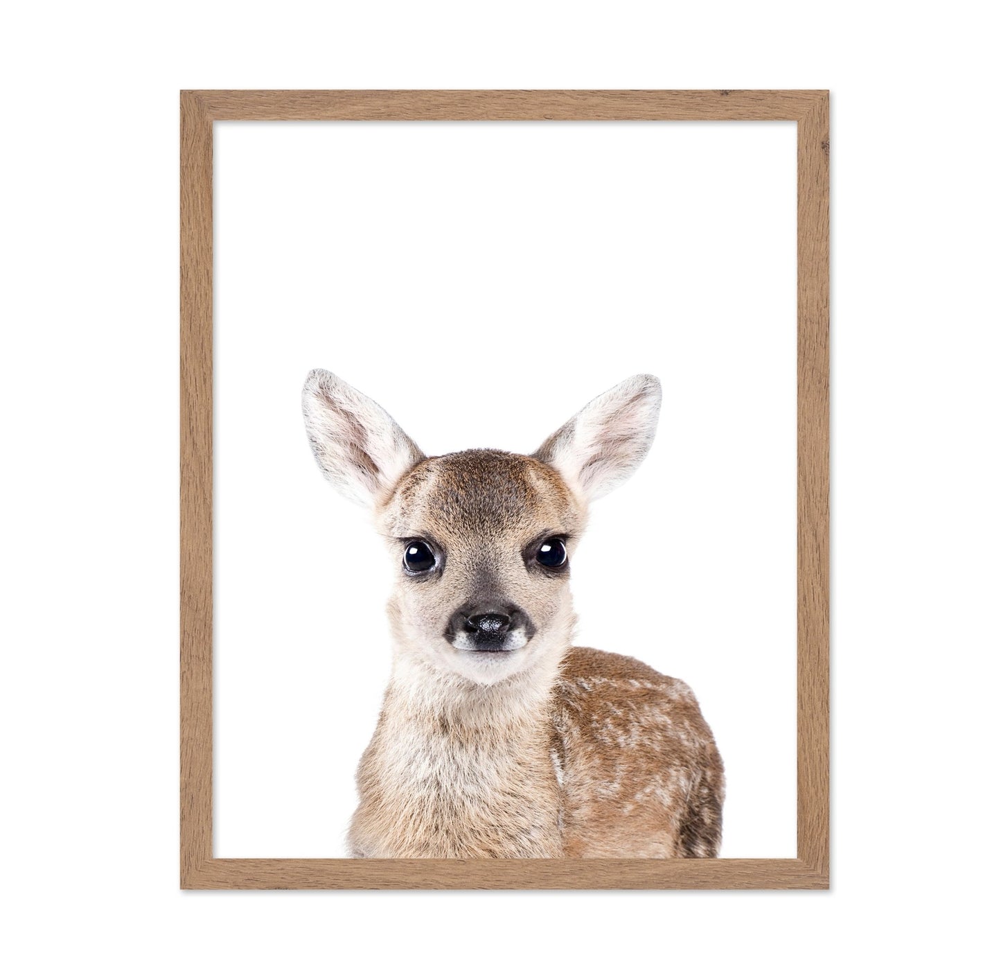 Baby Deer