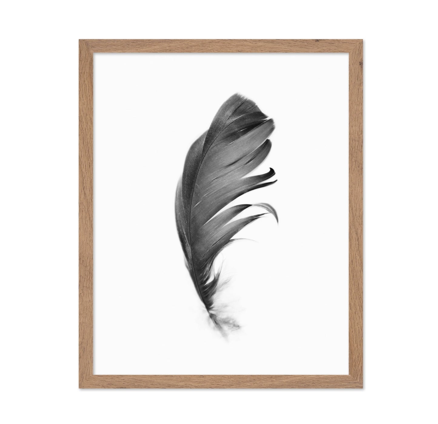 Feather