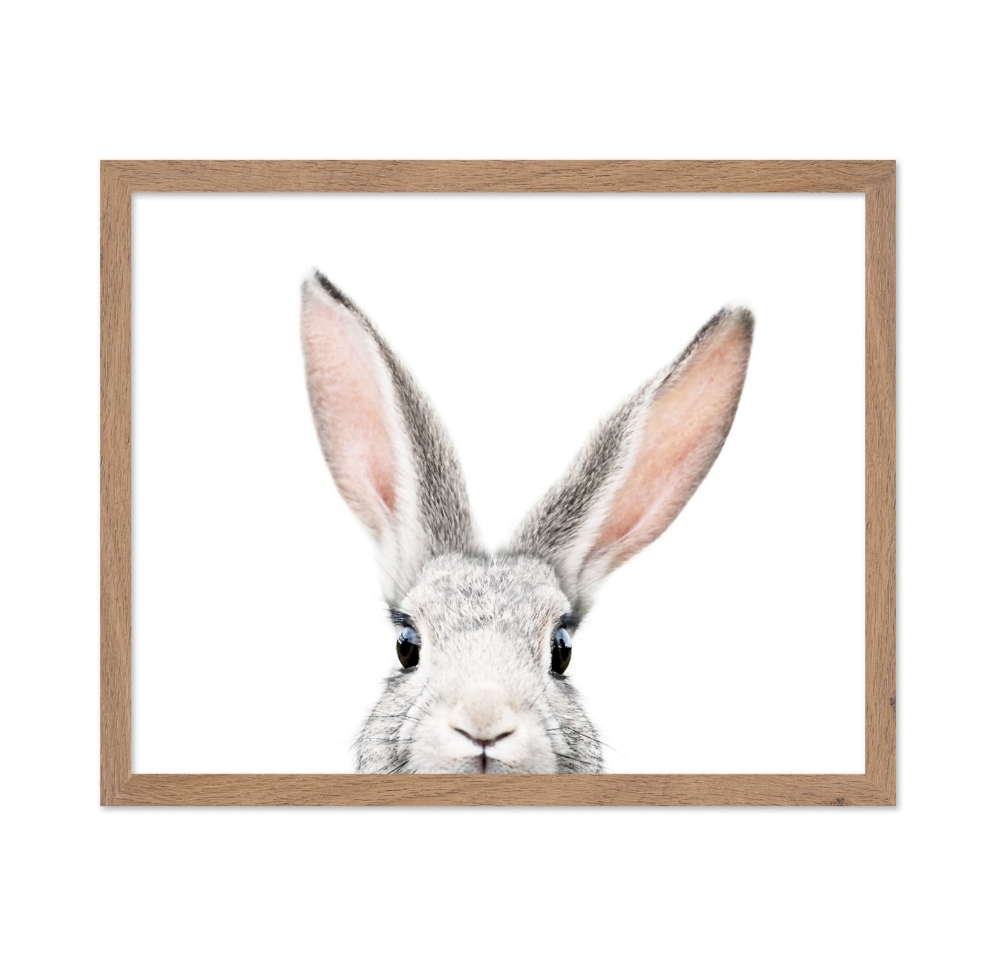 Peeking Bunny