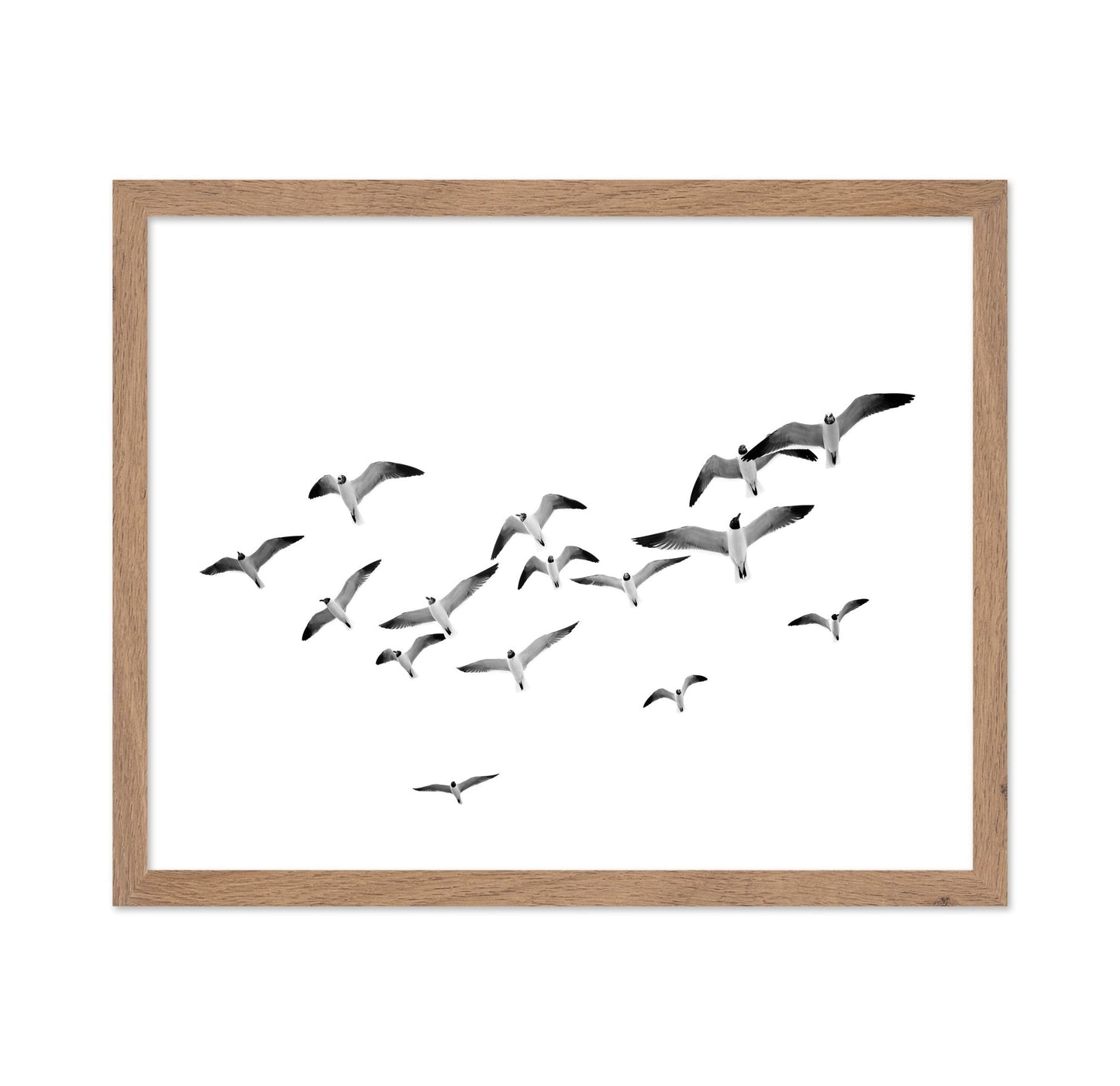 Flying Birds No1