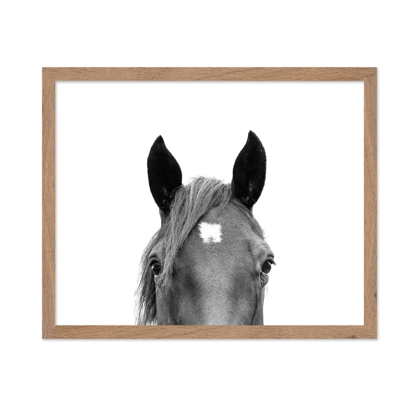 Peeking Horse