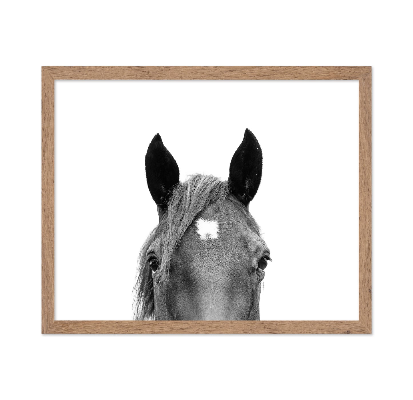 Peeking Horse