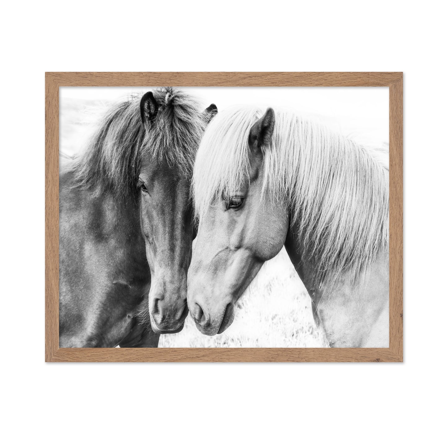 Horse Love