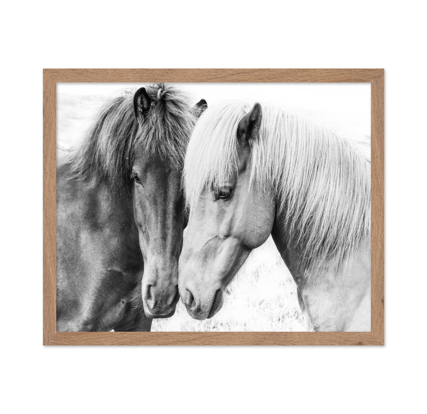 Horse Love