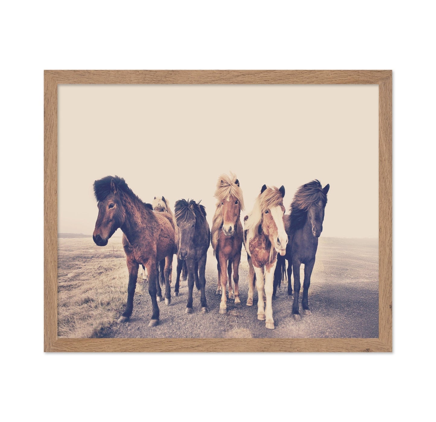 Majestic Herd - A Journey Through Foggy Pastures