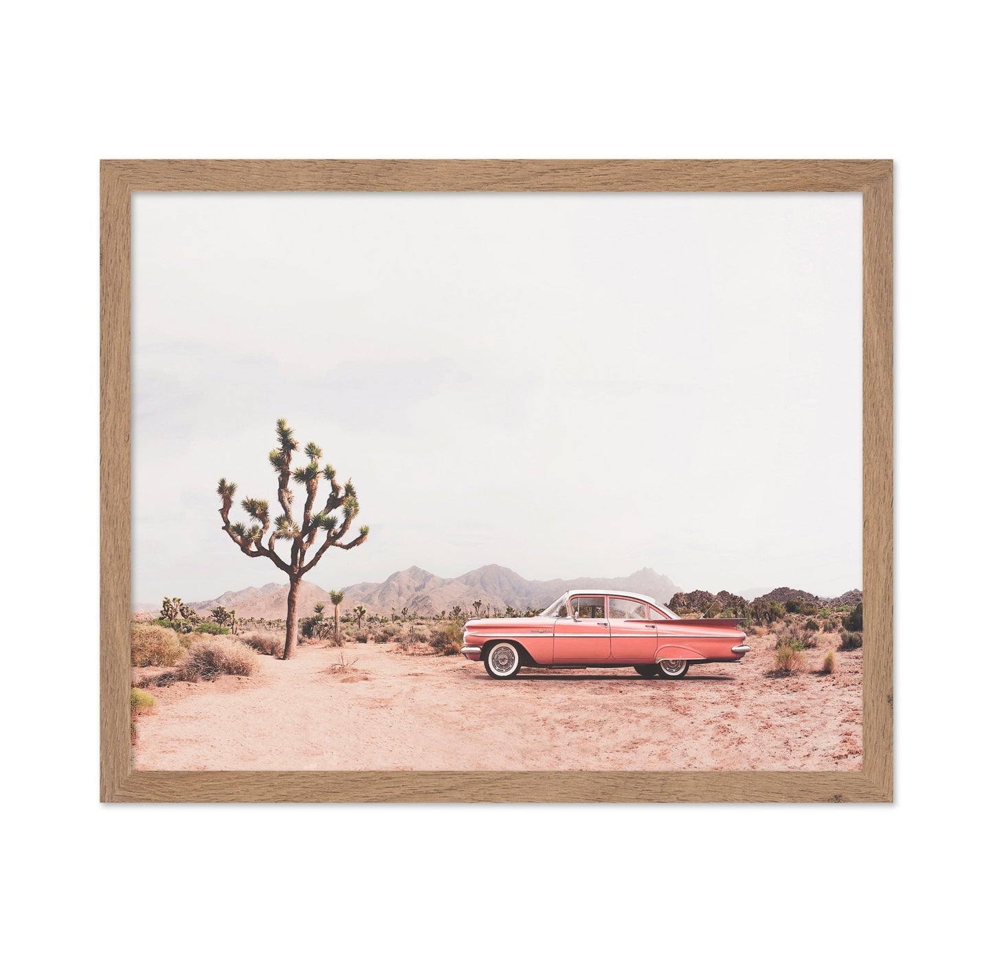 In The Desert
