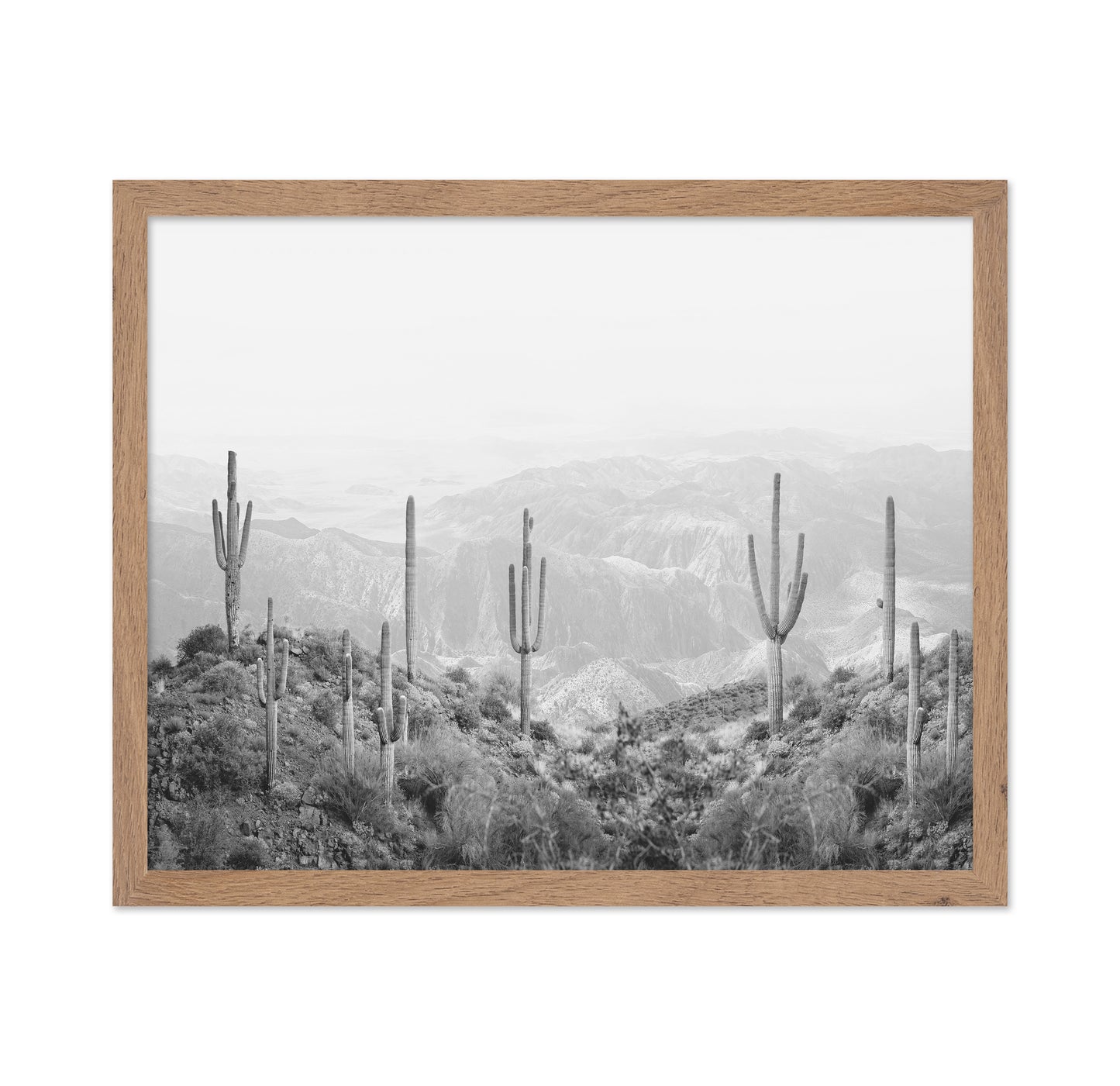 Western Cactus