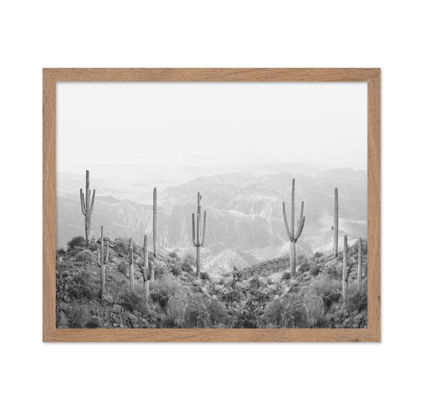 Western Cactus
