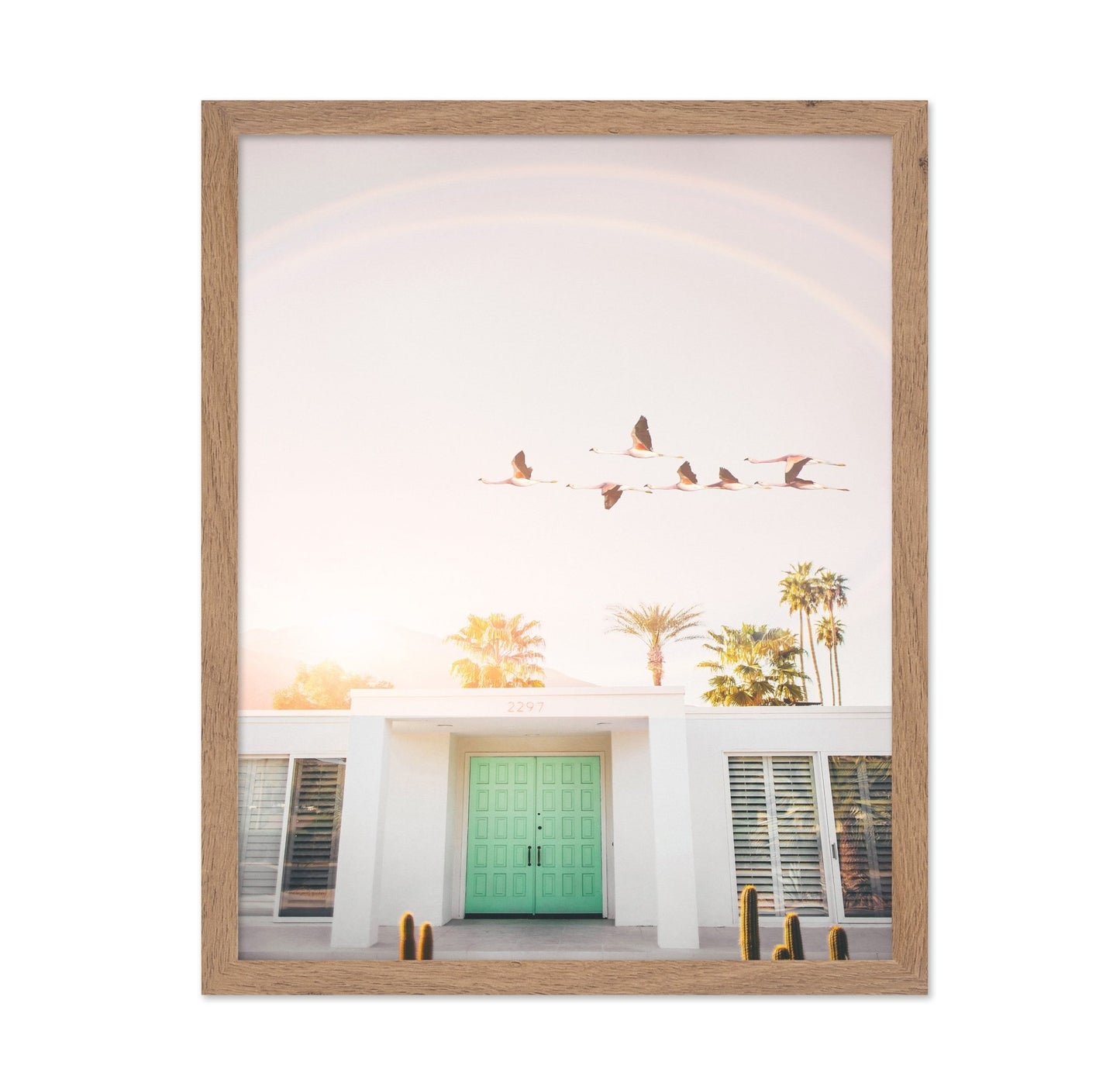 Flamingos In Palm Springs