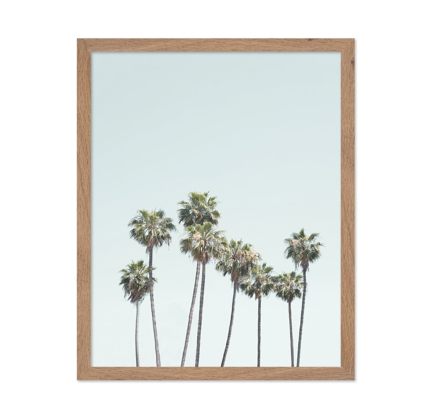 Blue Palm Trees