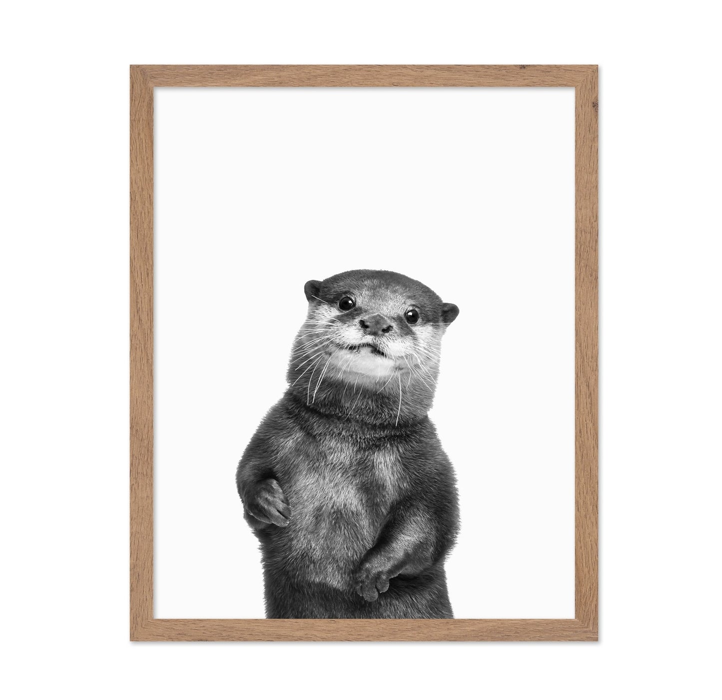 Otter