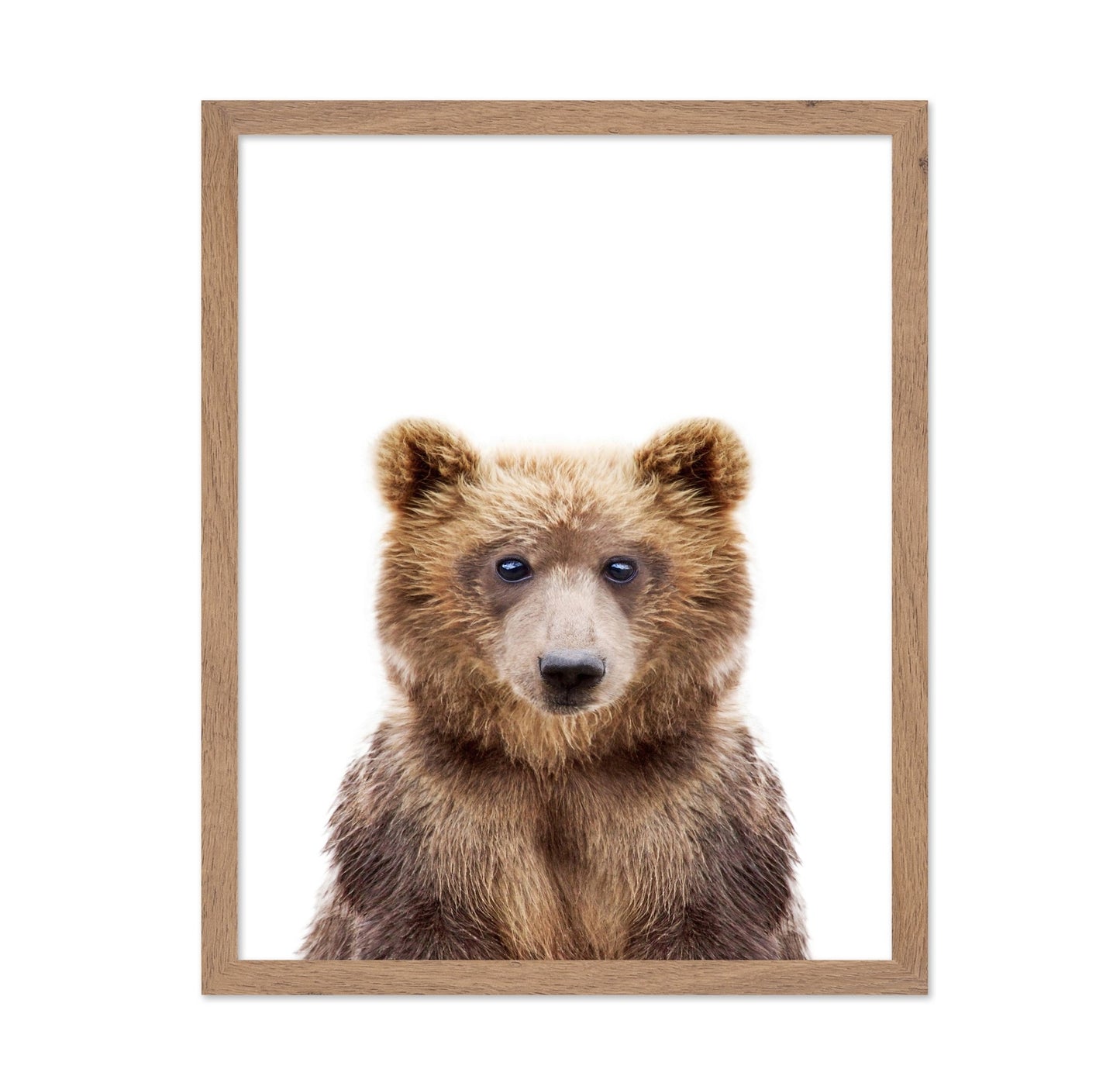 Baby Bear