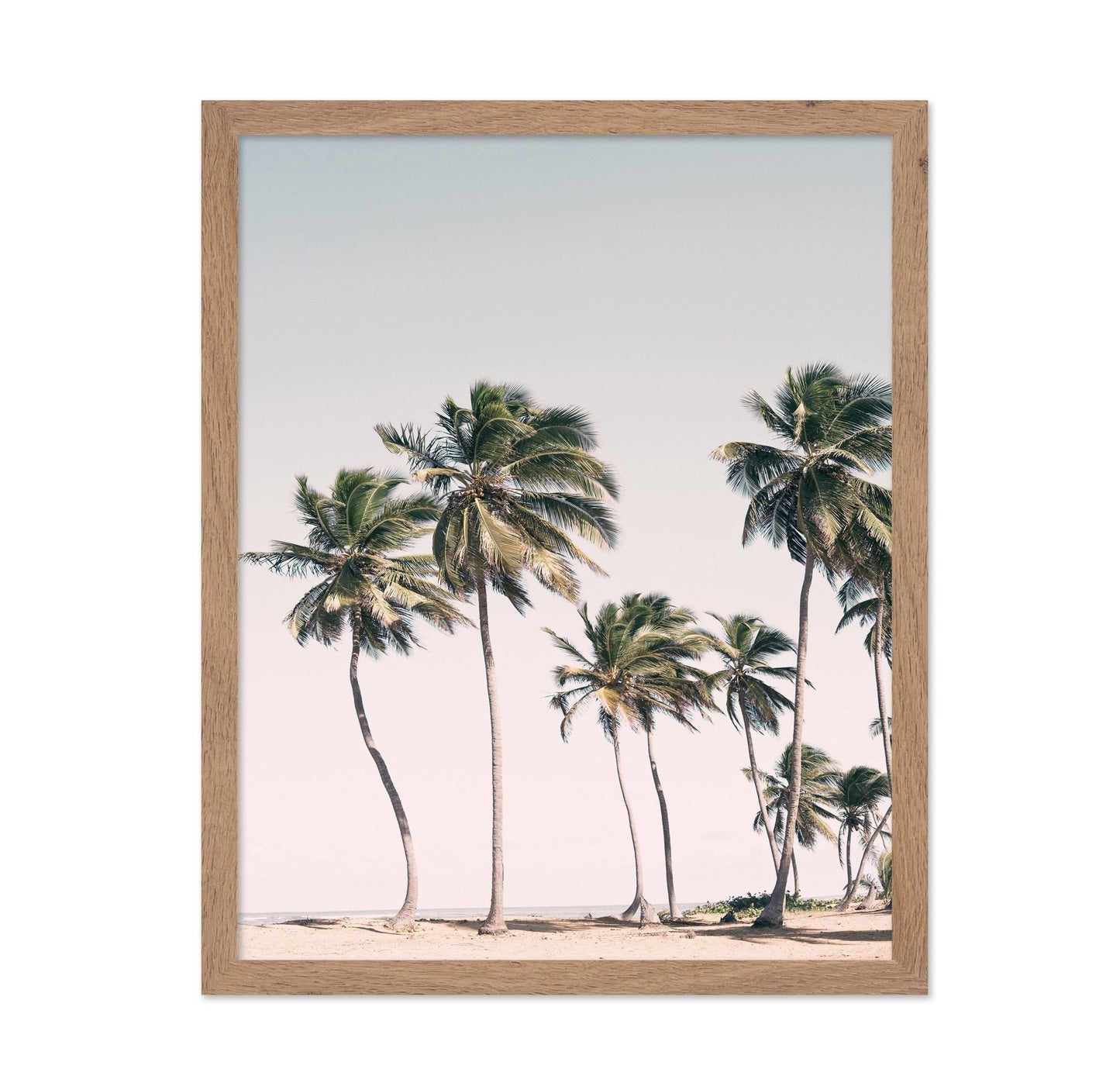 Blush Tropical Trees