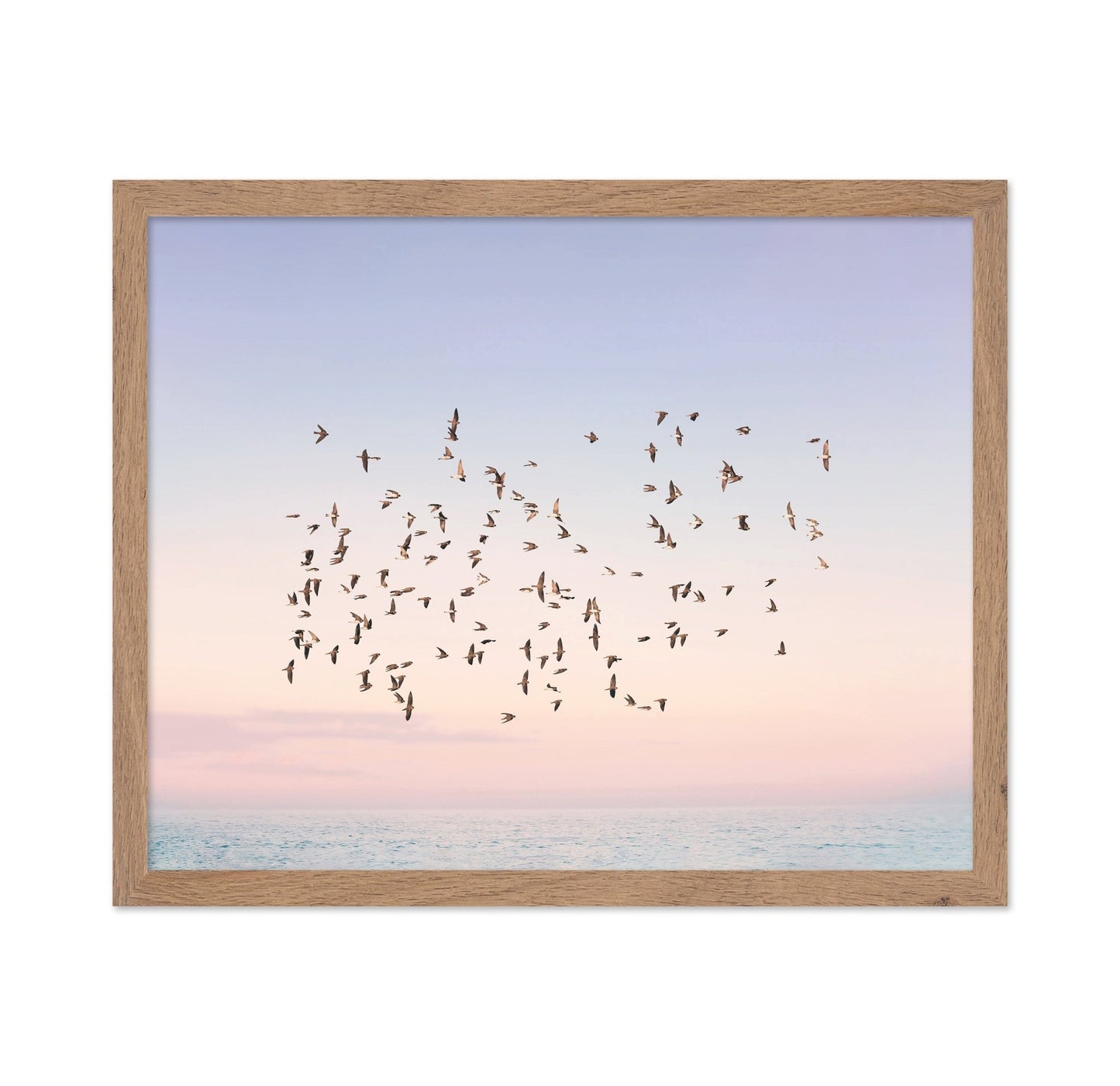 Sunset Flight