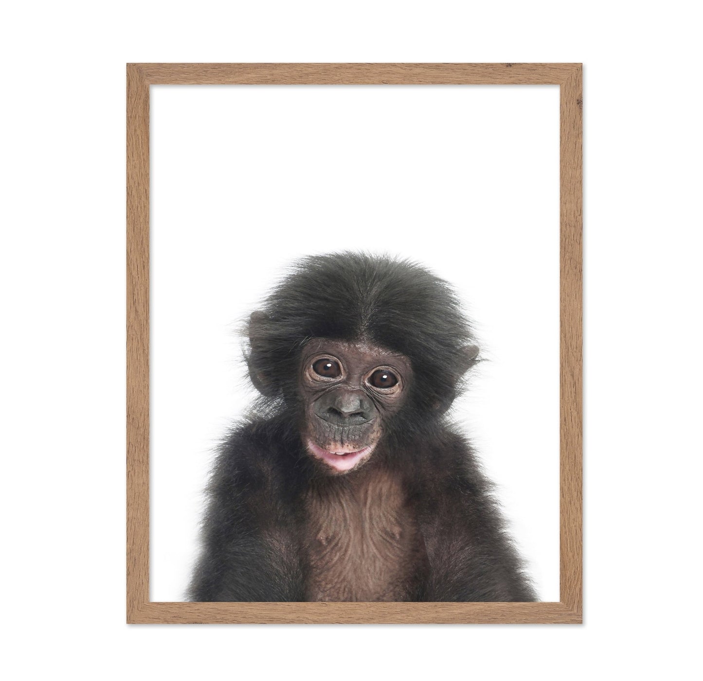 Baby Monkey