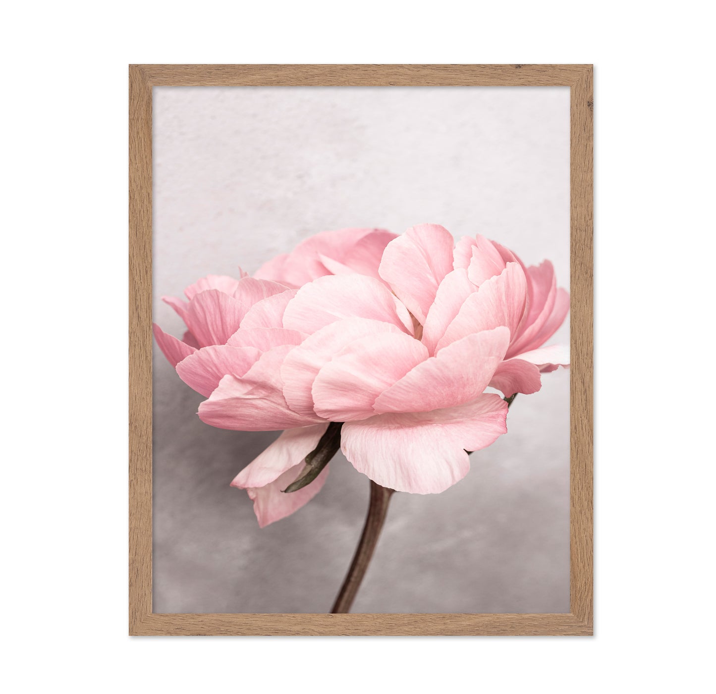 Peony