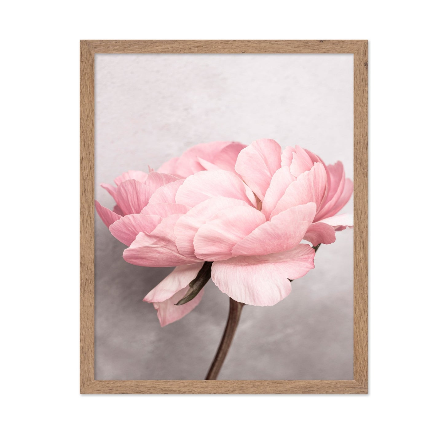 Peony