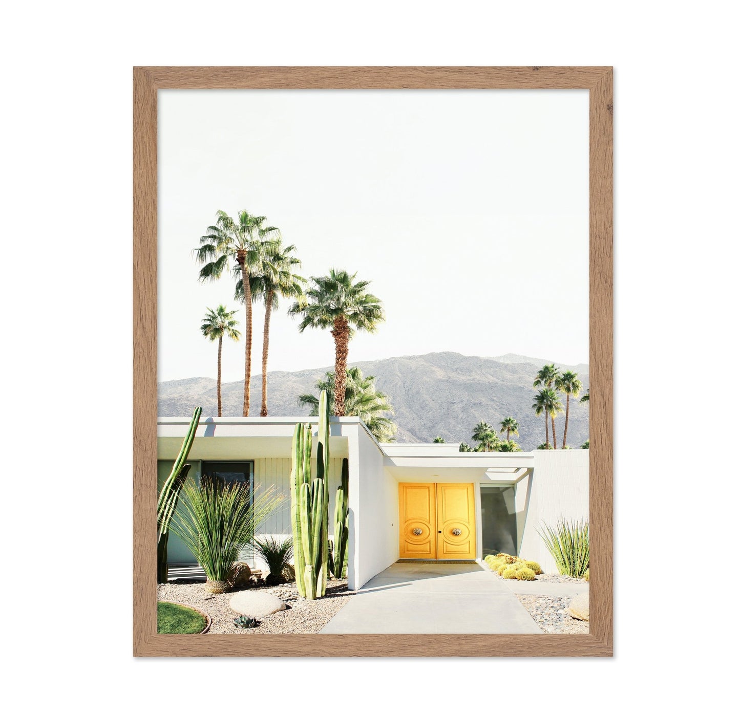 Palm Springs No 1