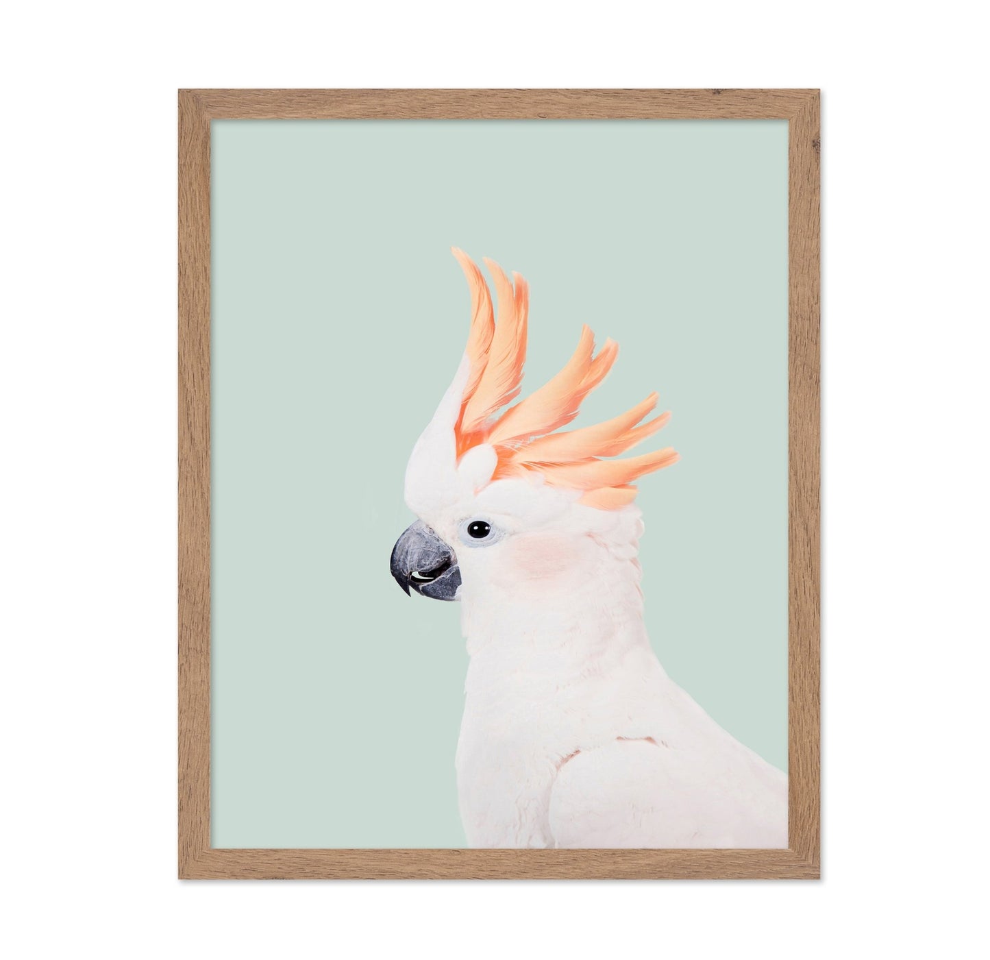 Cockatoo on Mint