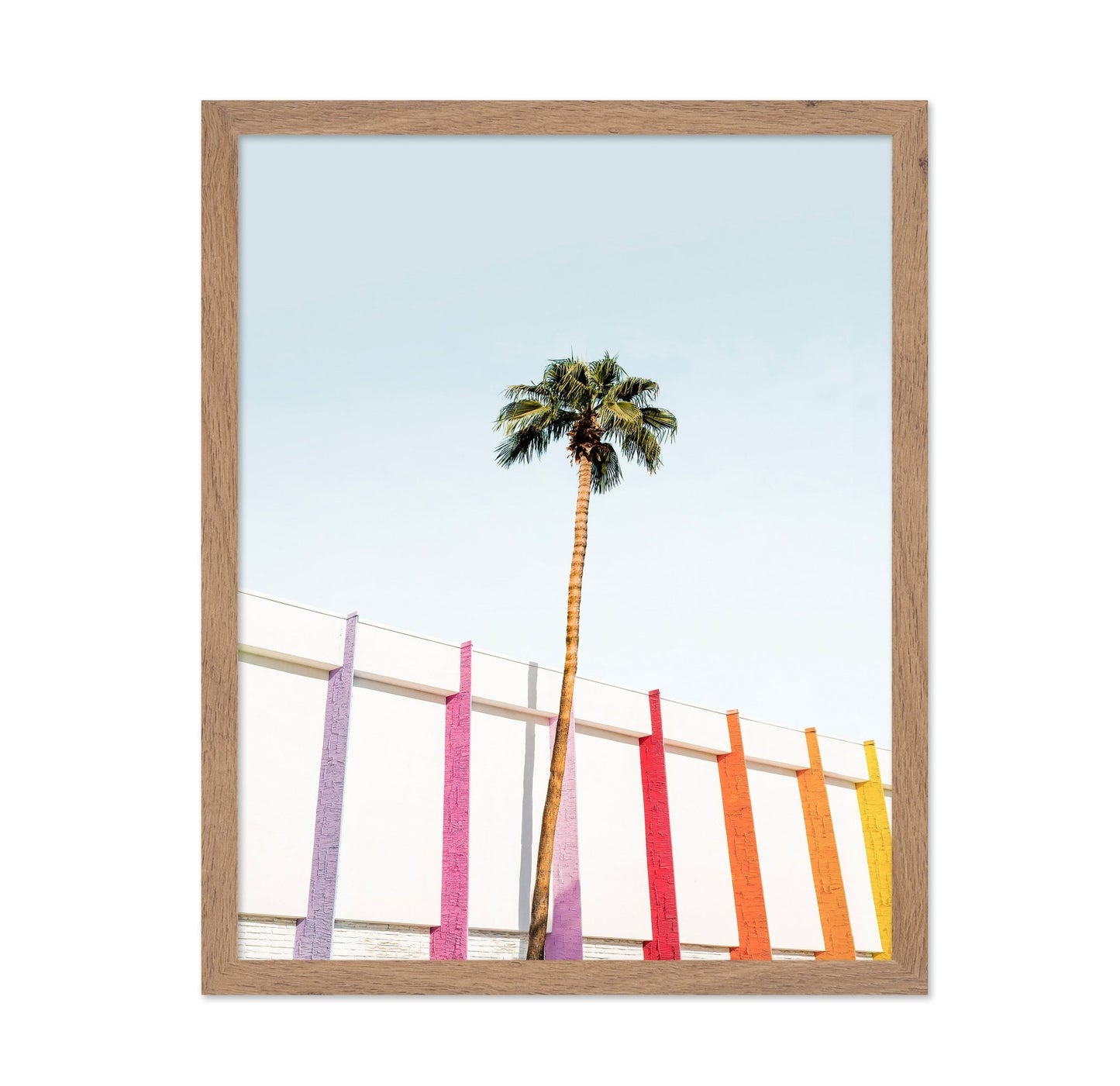 Palm Spring Colors