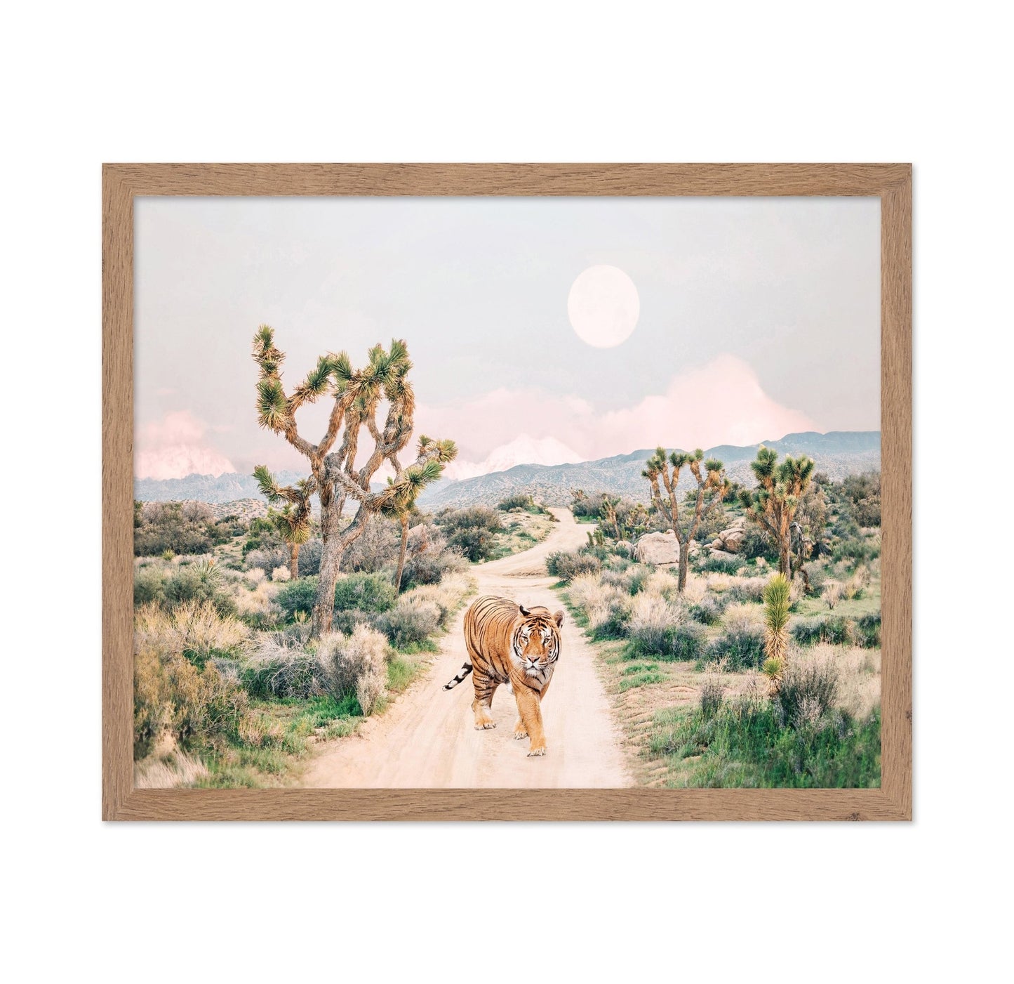 Wandering Tiger