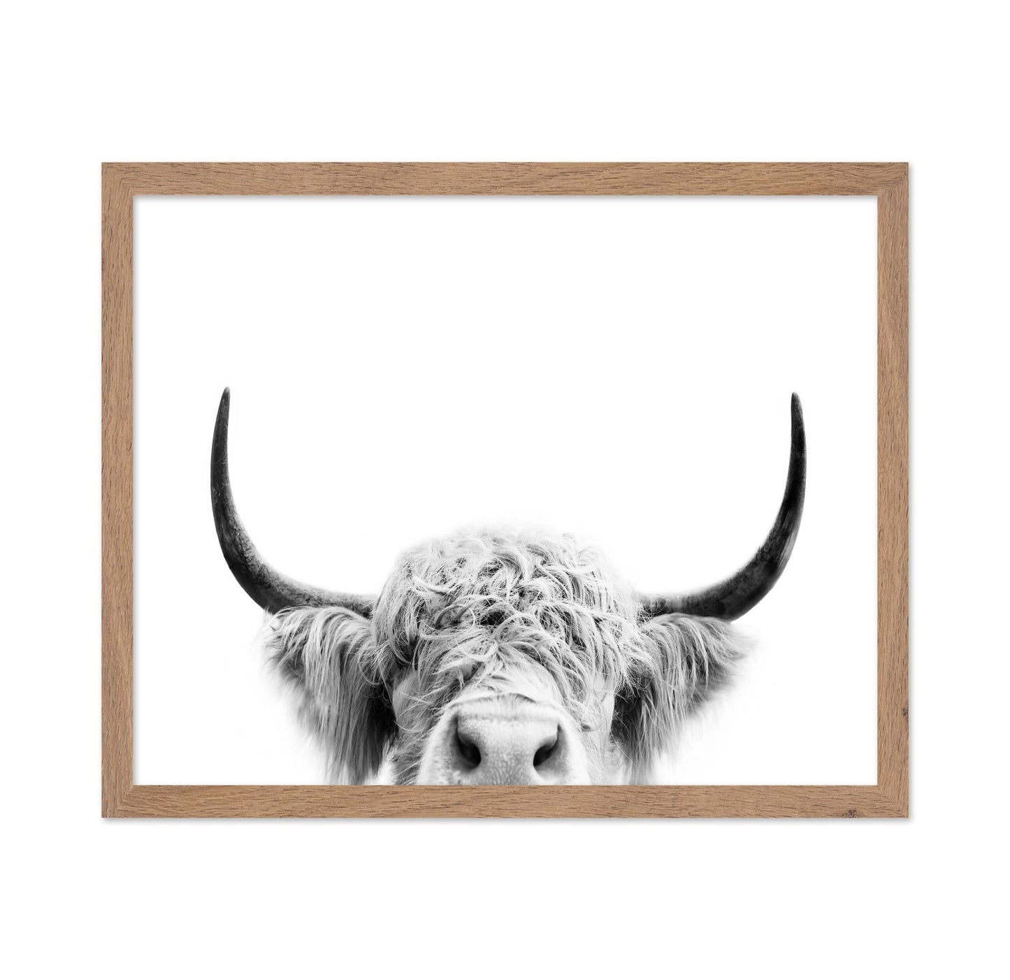 Peeking Cow