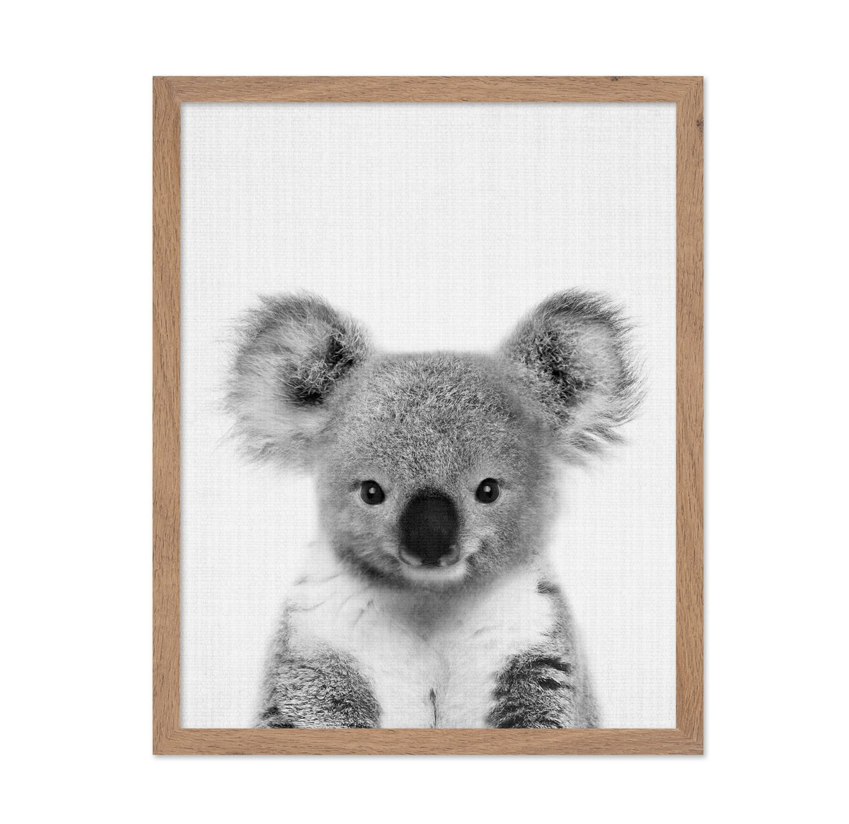 Baby Koala