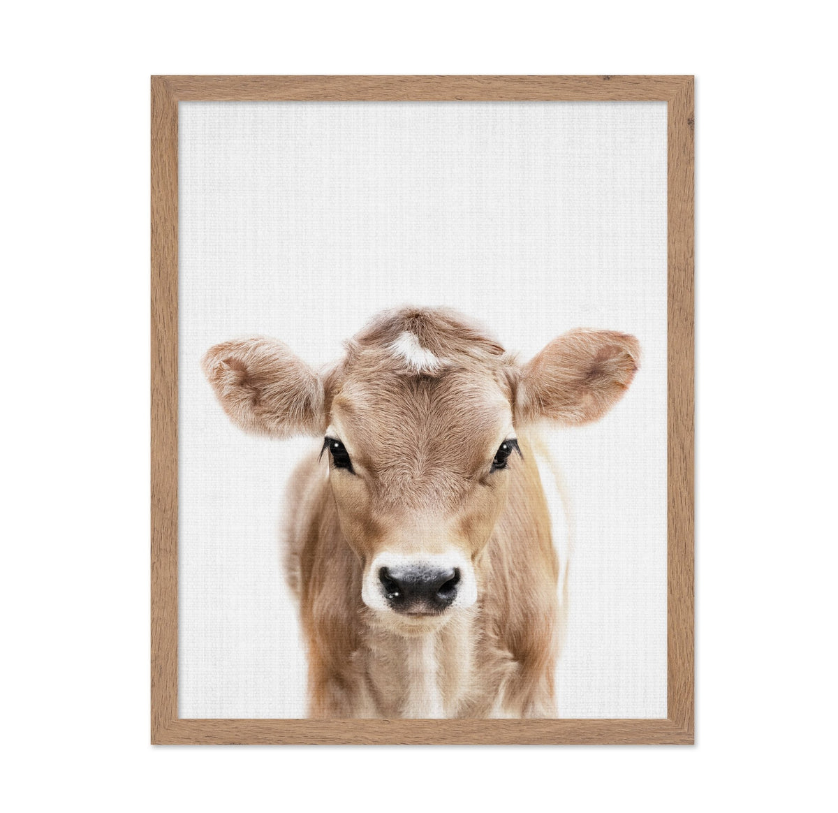 Peekaboo Baby Cow