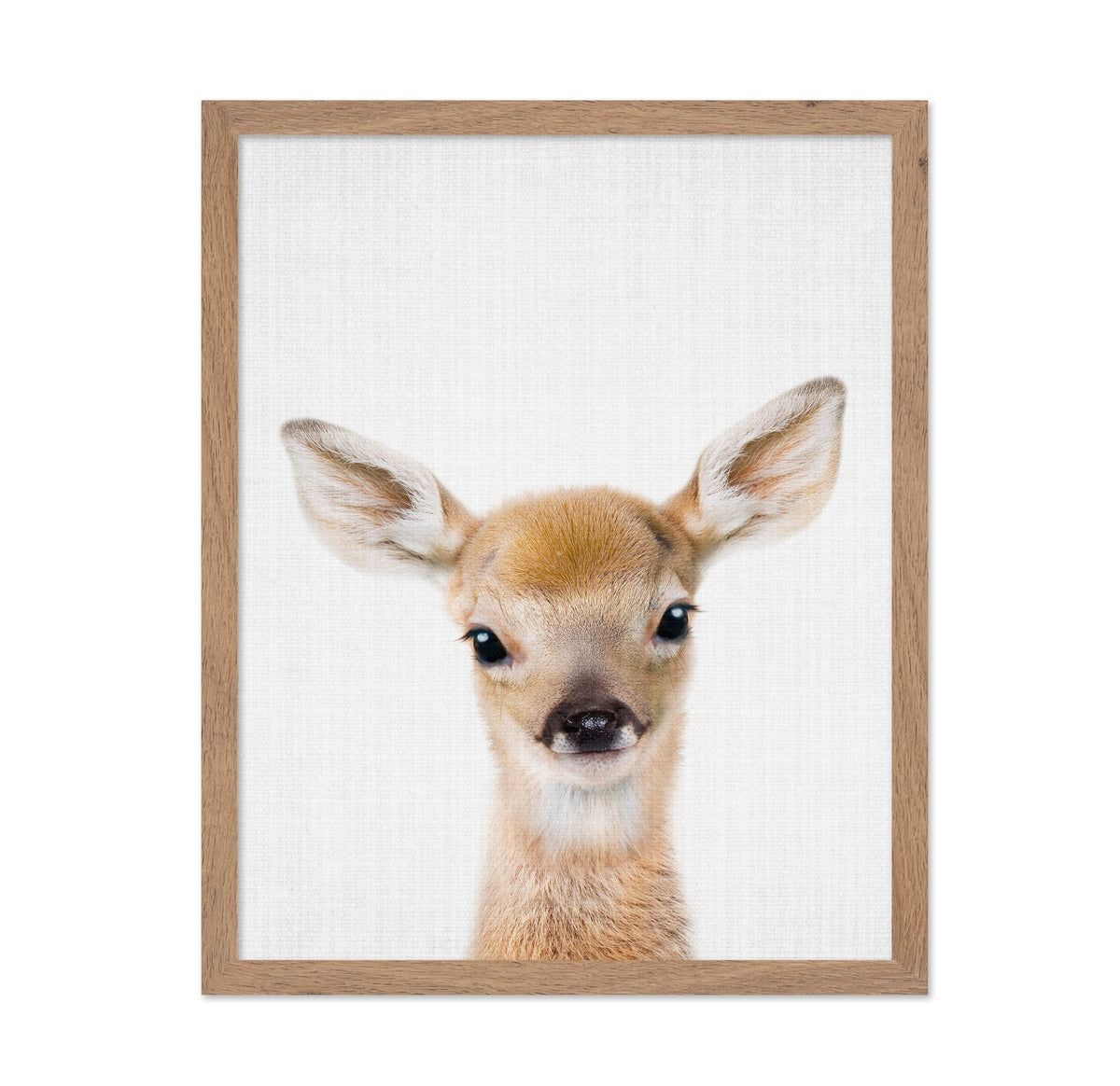 Peekaboo Baby Deer