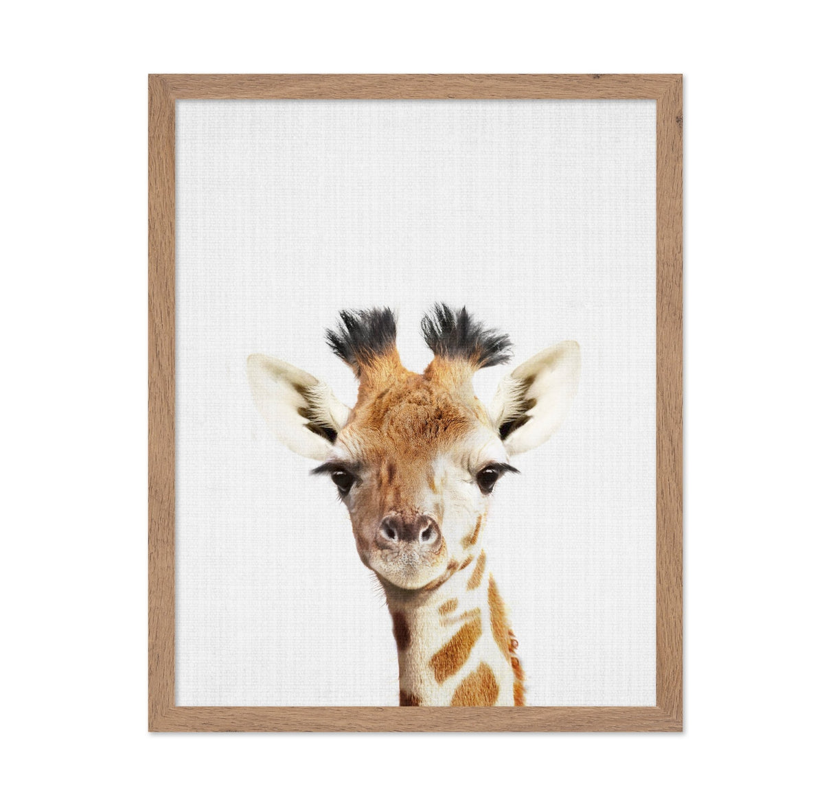 Peekaboo Giraffe