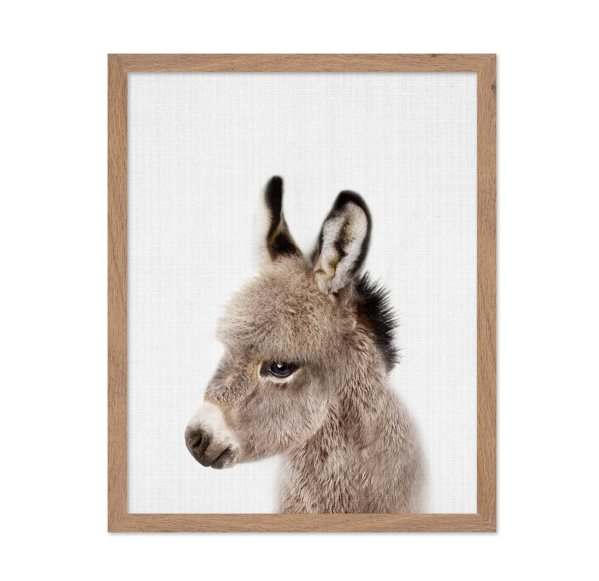 Peekaboo Baby Donkey